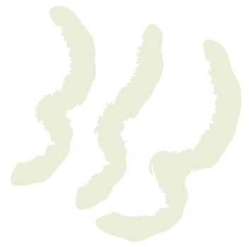 湯気感が伝わるイラスト